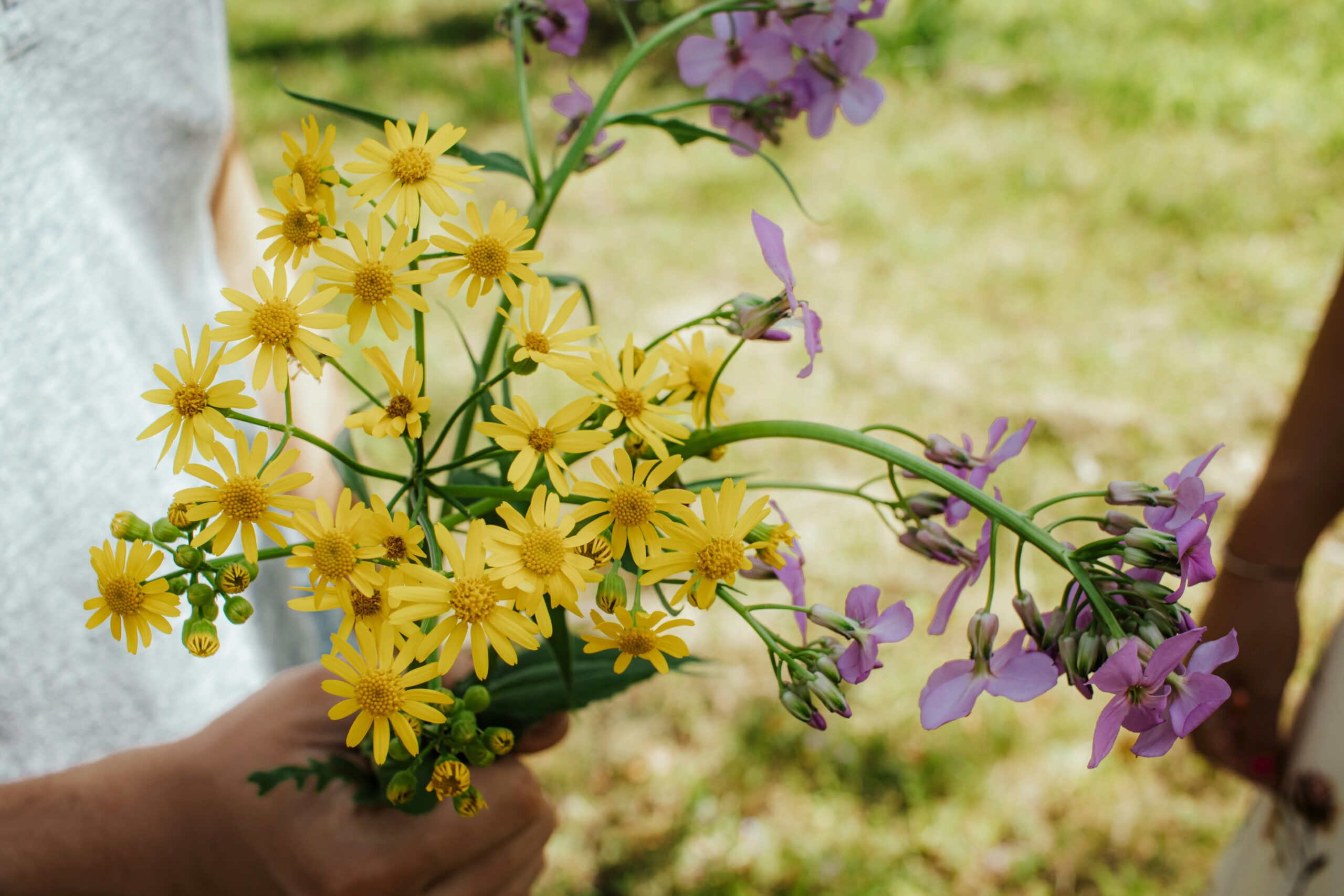 woman picking yellow and purple flowers | centerforrisingminds.org